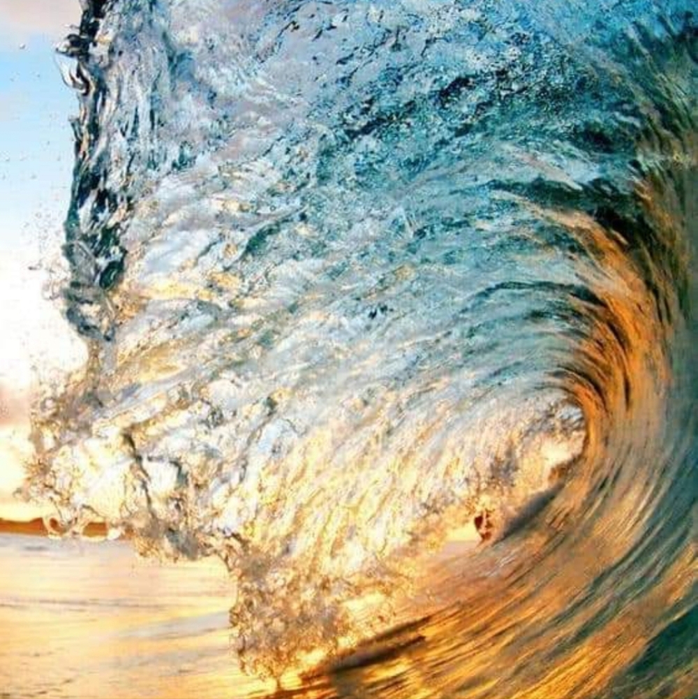 Meet your Posher, Marilyn